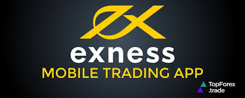 Unveiling the Excellence of Exness Forex Broker